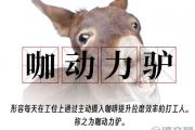 咖动力驴什么意思？