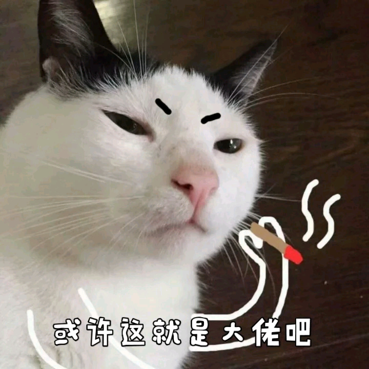 或许这就是大佬吧