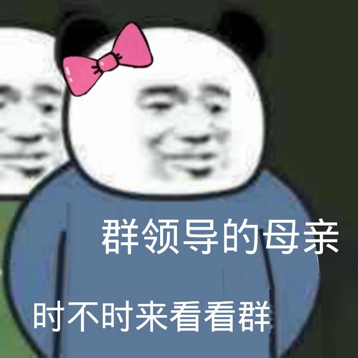 群领导的母亲，时不时来看看群