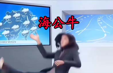 海公牛是什么意思梗