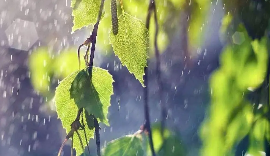 2024年上海梅雨季节是几月份2