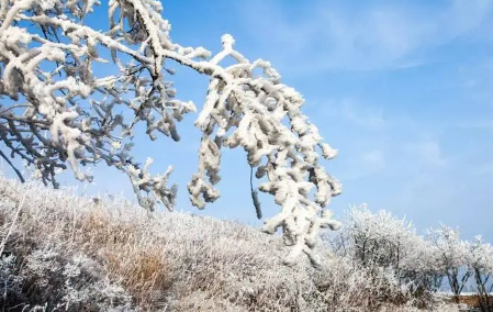 武汉2024年春节过后会下雪吗3