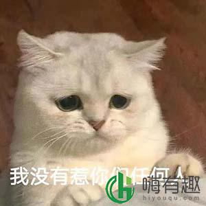 我没惹你们任何人什么梗 表情包