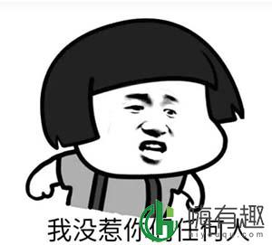 我没惹你们任何人什么梗 表情包