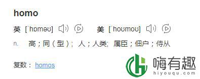 homo什么梗 homo无处不在什么梗 homo特有是什么梗
